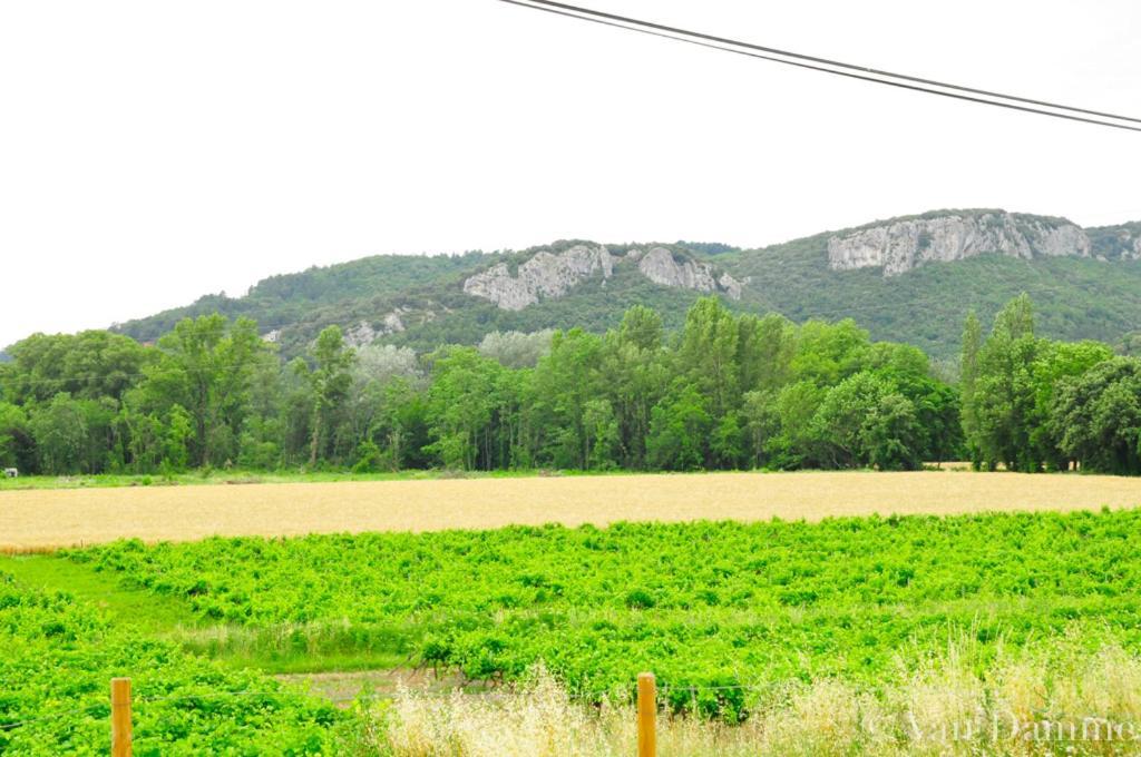 Gites Du Domaine Des Dames Vallon-Pont-dʼArc Екстериор снимка